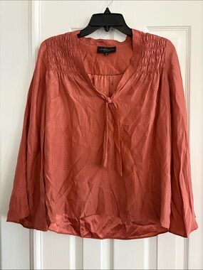 CoreyLynnCalter Anthropologie 100% Silk Tie Neck long sleeve Rust Blouse Size 4